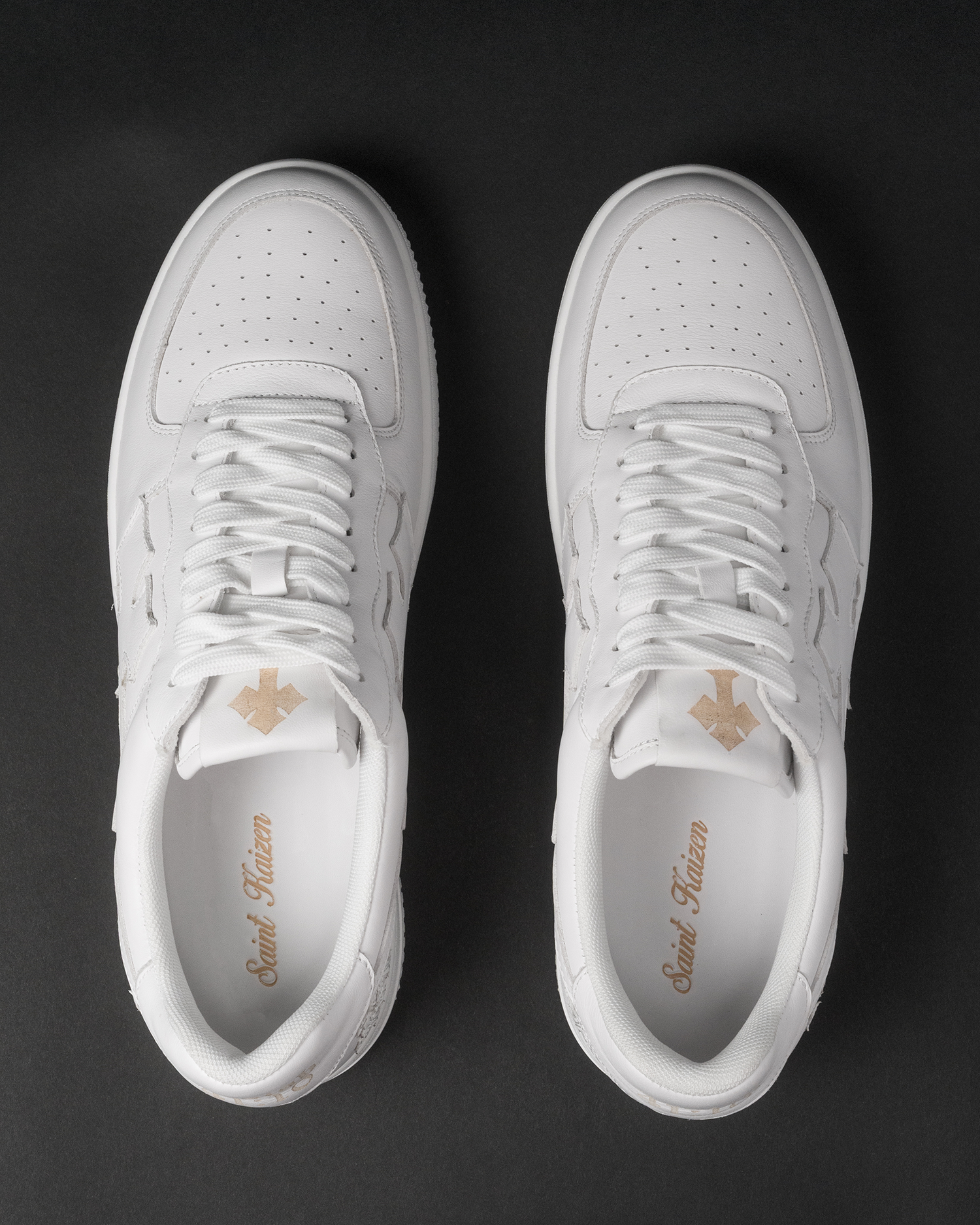 Isaiah 41:10 Sneakers